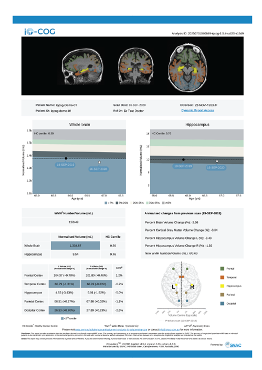 Example Report
